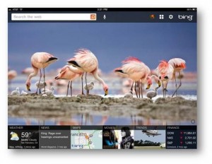 Microsoft Bing for iPad